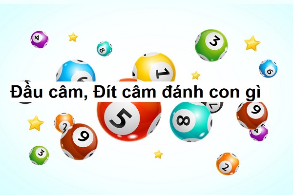 Lô đầu câm đuôi câm đánh con gì? Hôm sau sẽ ra những con nào