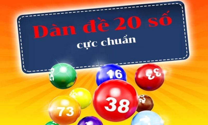Một số lưu ý cần nhớ khi nuôi dàn đề 20 số