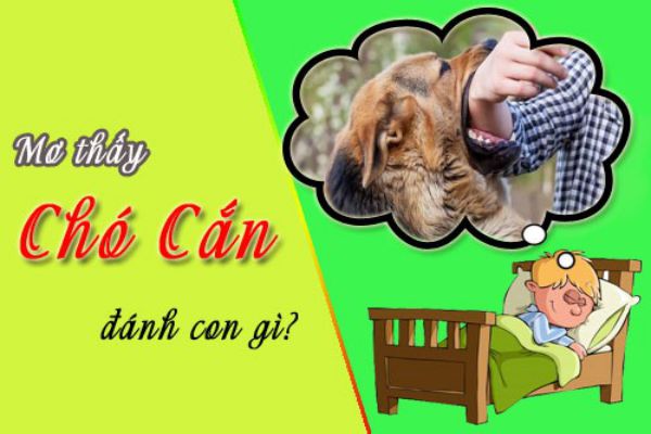 Mơ thấy chó cắn tay chân không chảy máu đánh con số mấy chuẩn