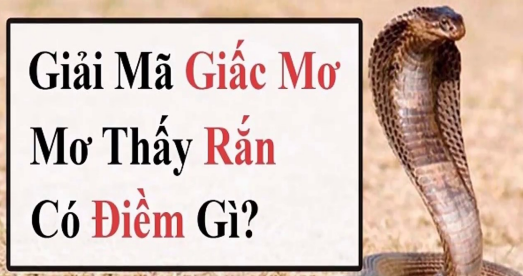 Bí ẩn giấc mơ thấy rắn cắn tay người khác bản thân đánh con mấy